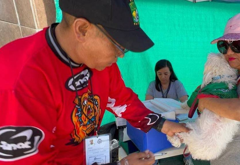 Concluyó la Semana Nacional de Vacunación Antirrábica para perros y gatos.